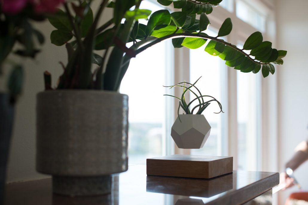 Vaso de planta que levita pertence a empresa sueca