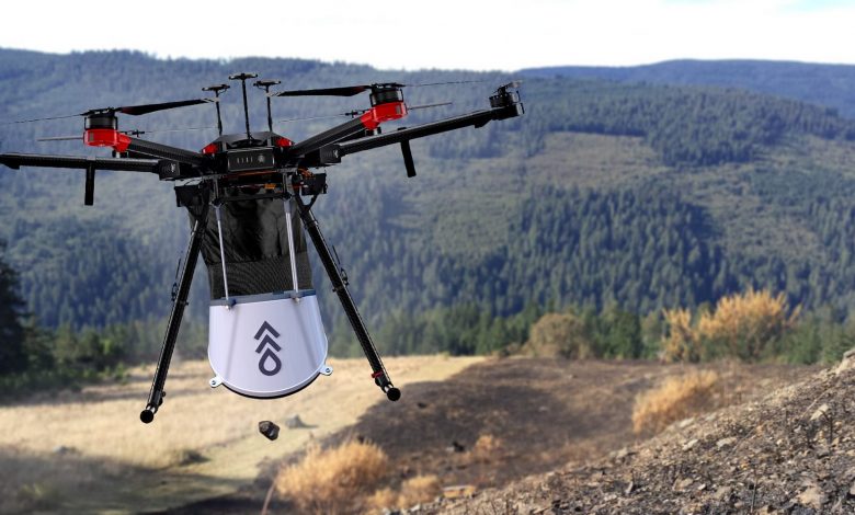 Empresa criou drones que podem plantar e reflorestar nosso planeta