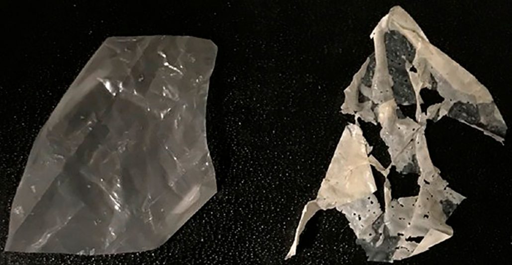 Plástico que decompõe em 2 semanas foi criado por cientistas