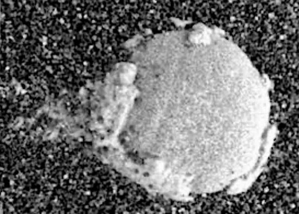 Rover da NASA encontra possíveis fungos em Marte e surpreende cientistas