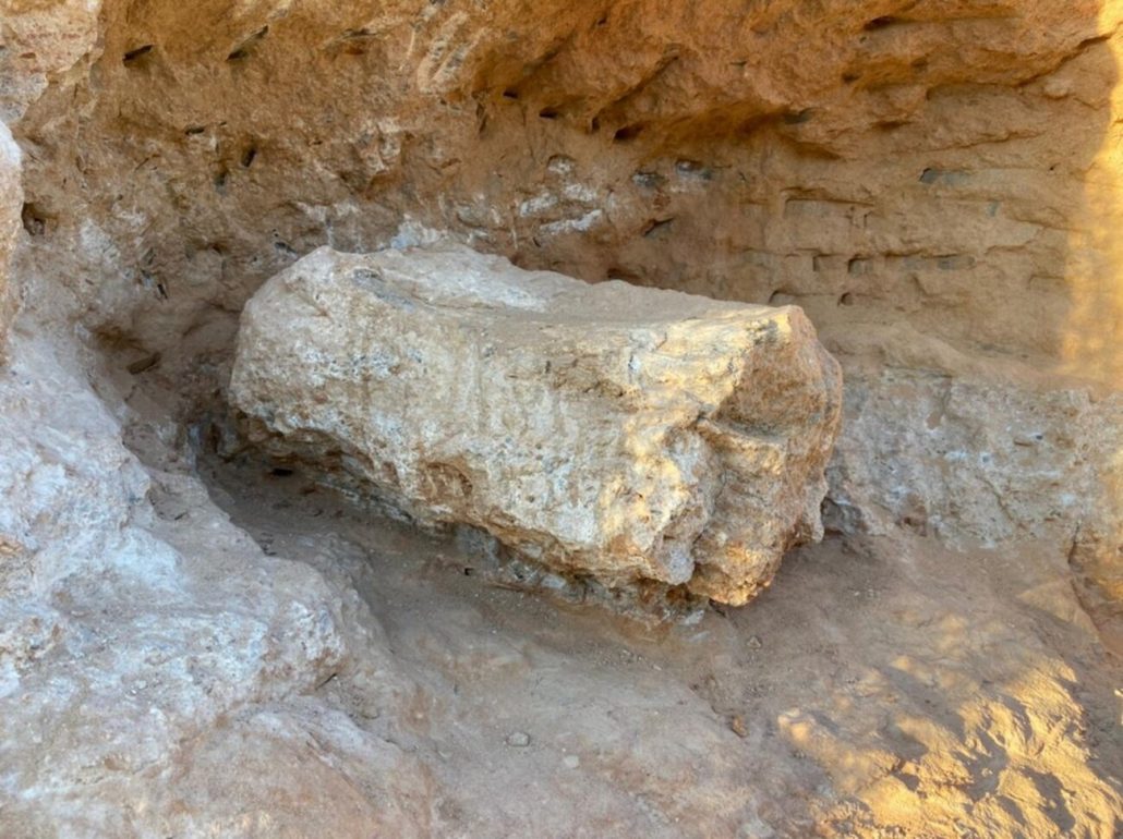 Fóssil de dinossauro encontrado em SP surpreende e interrompe obras de rodovia