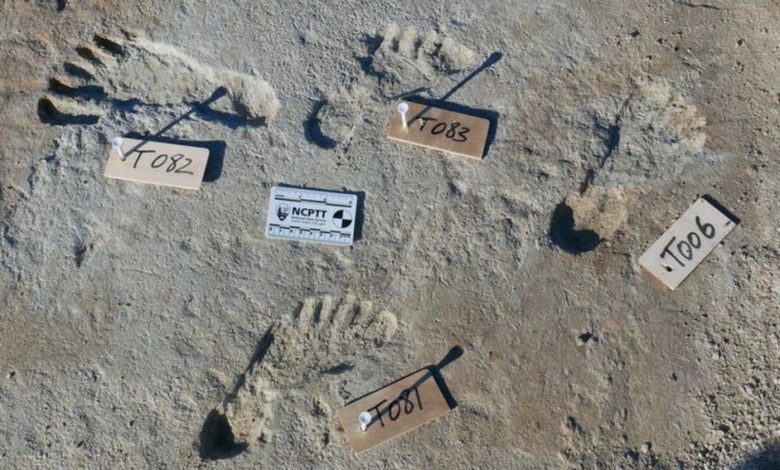 Pegadas humanas de 23 mil anos descobertas nos EUA surpreendem cientistas
