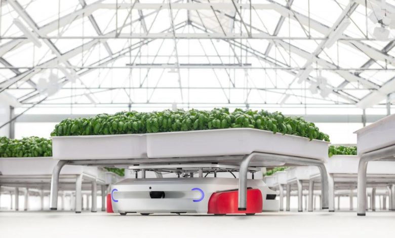 Robôs agrícolas capazes de economizar em 90% o uso de água nas plantações